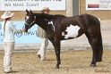 22-APHA HTB_023
